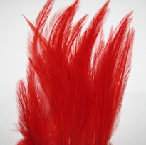 rooster saddle  red 